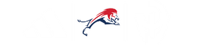 Chaminade–Madonna College Preparatory School banner logo